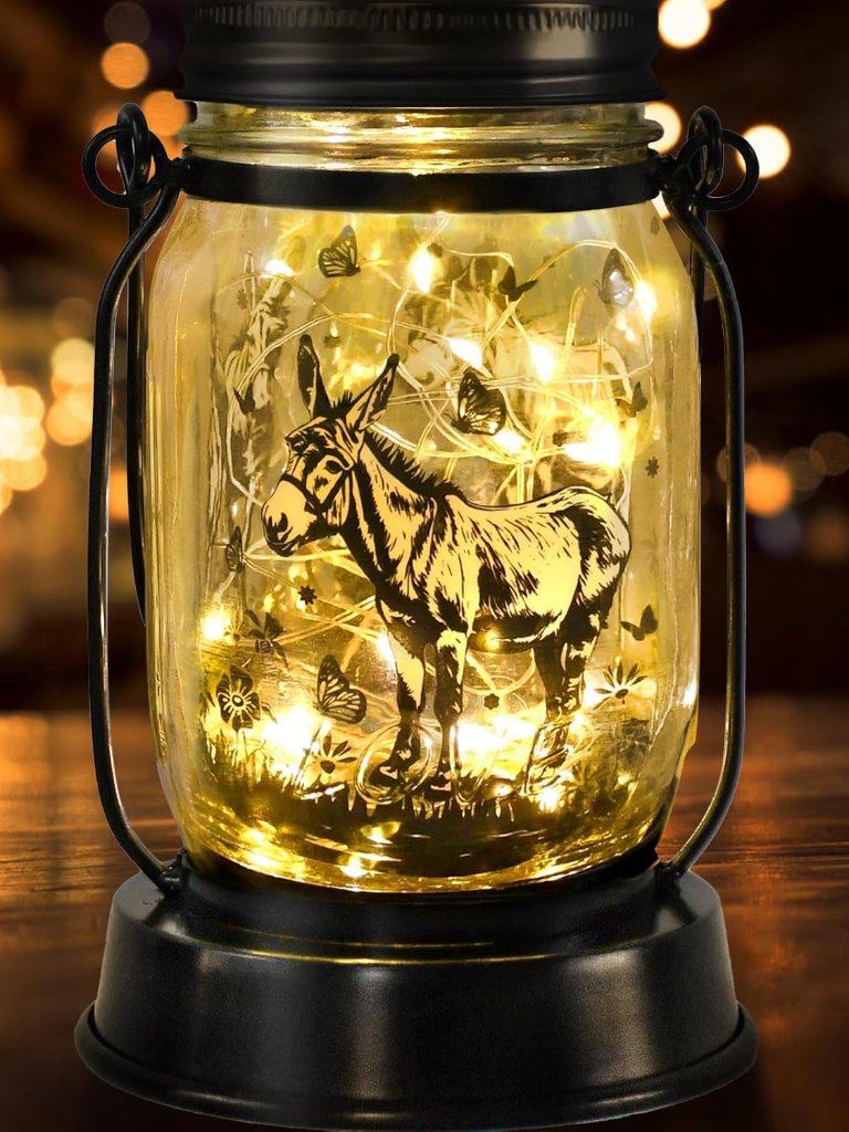 Donkey Gifts For Women/Men Donkey Solar Lanterns Mom Birthday Burro Animal Lover